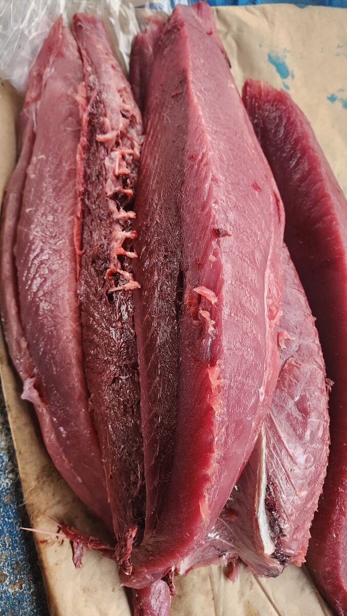 Assortiment de fruits de mer frais