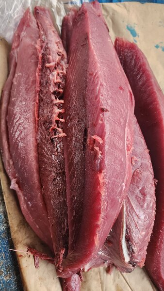 Assortiment de fruits de mer frais