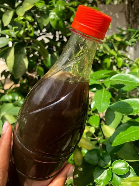 Miel de Korhogo 1 Litre