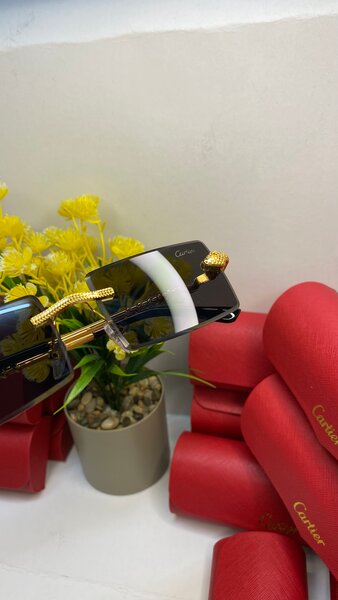 Luxury Cartier Sunglasses