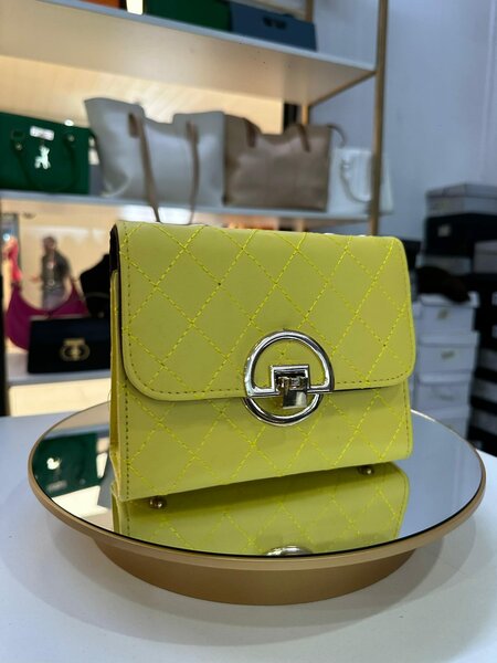 Stylish women's handbag