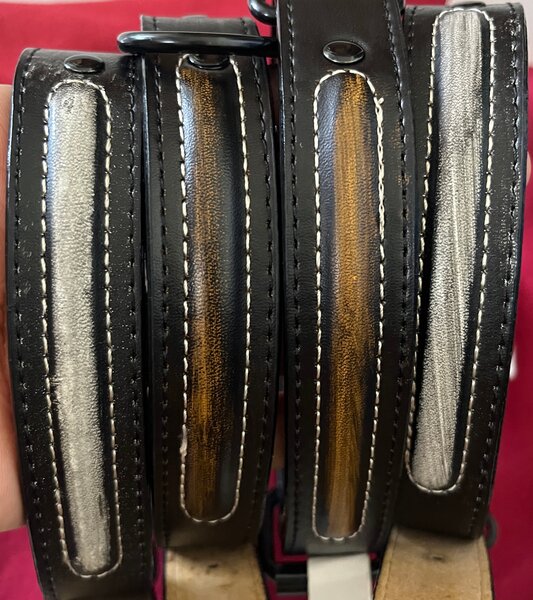 Colliers pour chiens robustes