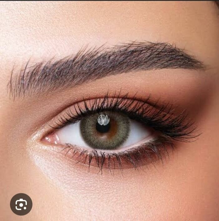 Bella Lens Pine Color One Day With kit