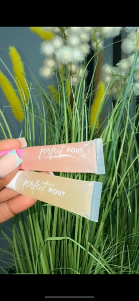 Perfect Pout lipgloss
