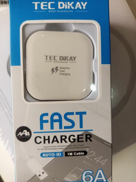 Fast charger