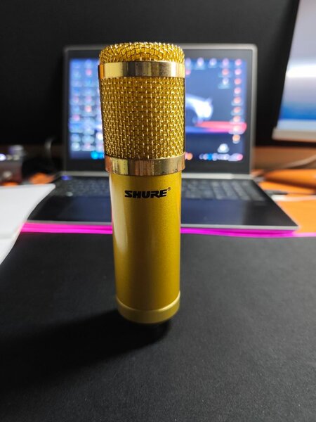 Microphone Shure Professionnel