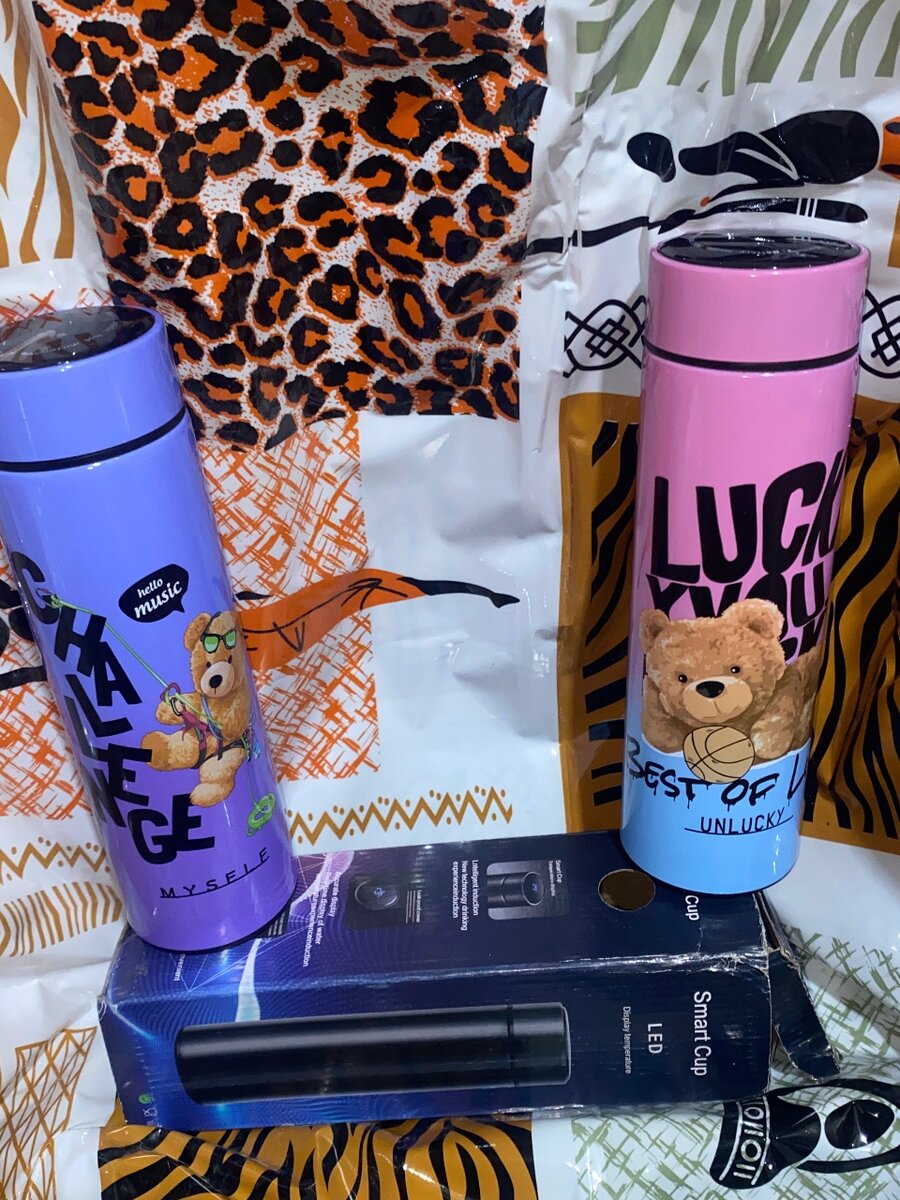 Bouteille Thermos LED Colorée