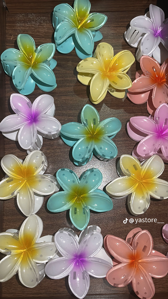 Barrettes fleurs colorées