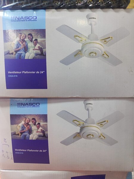 Nasco 24" Ceiling Fan