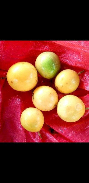 fruits de la passion