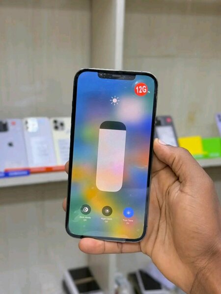 iPhone 12 Pro Max 128 Go Gris