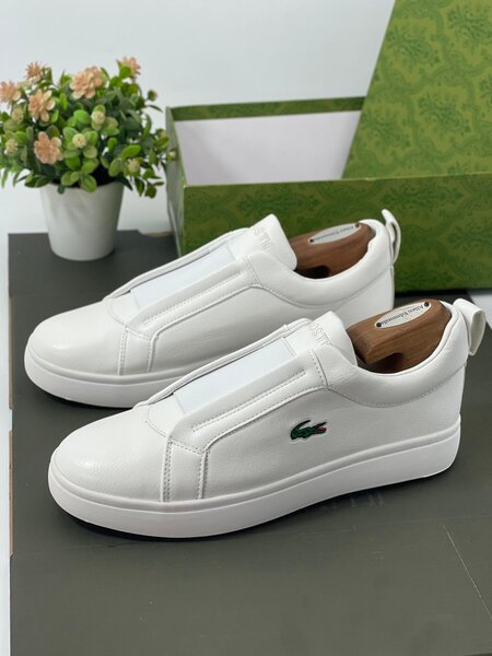 LACOSTE CLASSIC WEAR