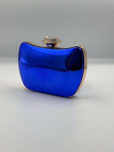 Blue & Nude Purse