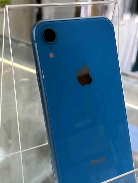 iPhone XR Bleu
