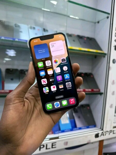 iPhone Pro Max argenté