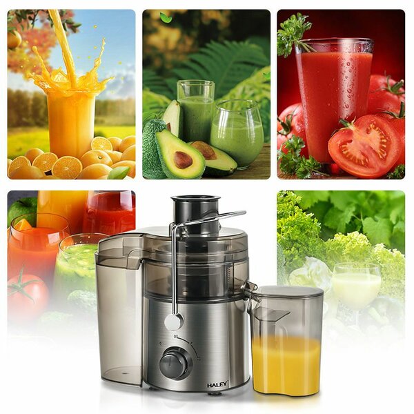 Extracteur de Jus Haute Vitesse