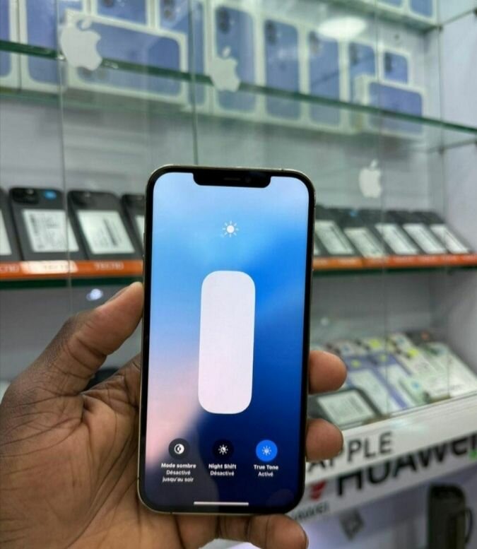 iPhone 13 Pro Max - 256 Go