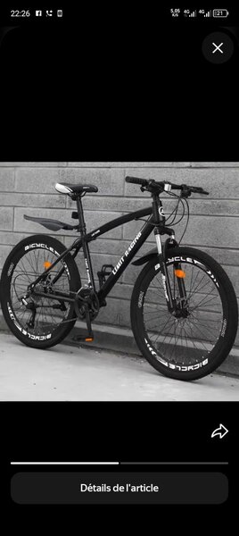 Vélo de montagne robuste