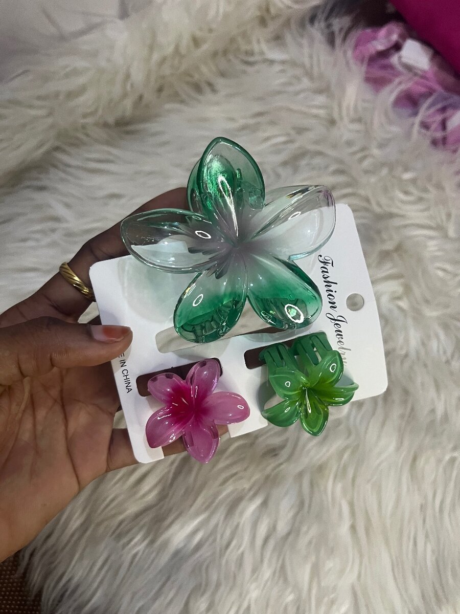 Ensemble de clips cheveux