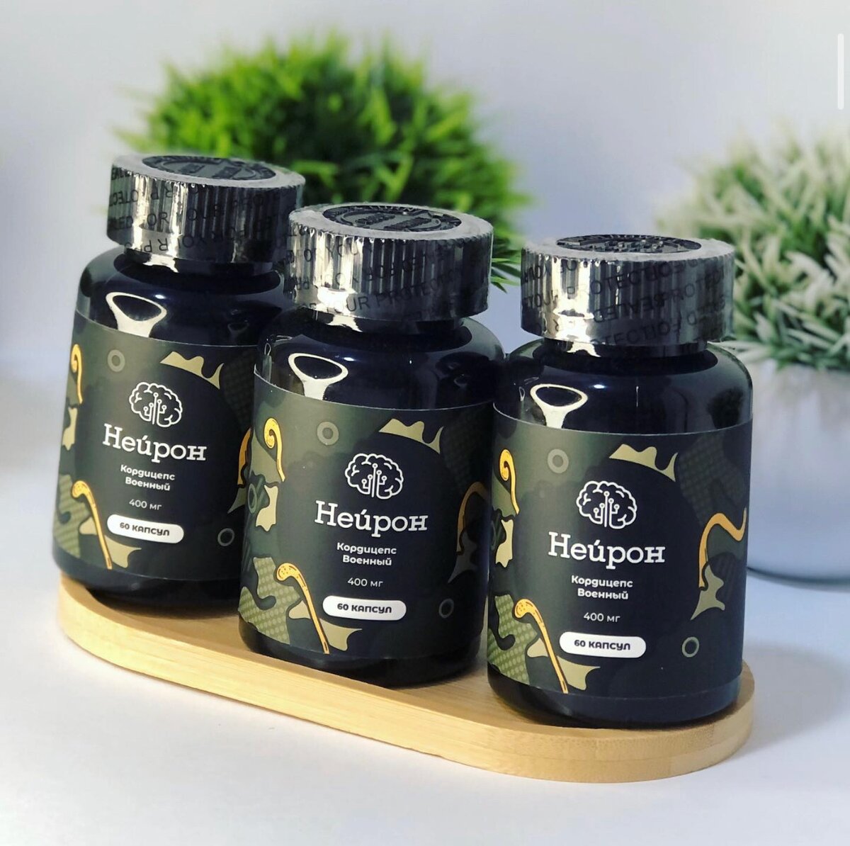 Кордицепс военный