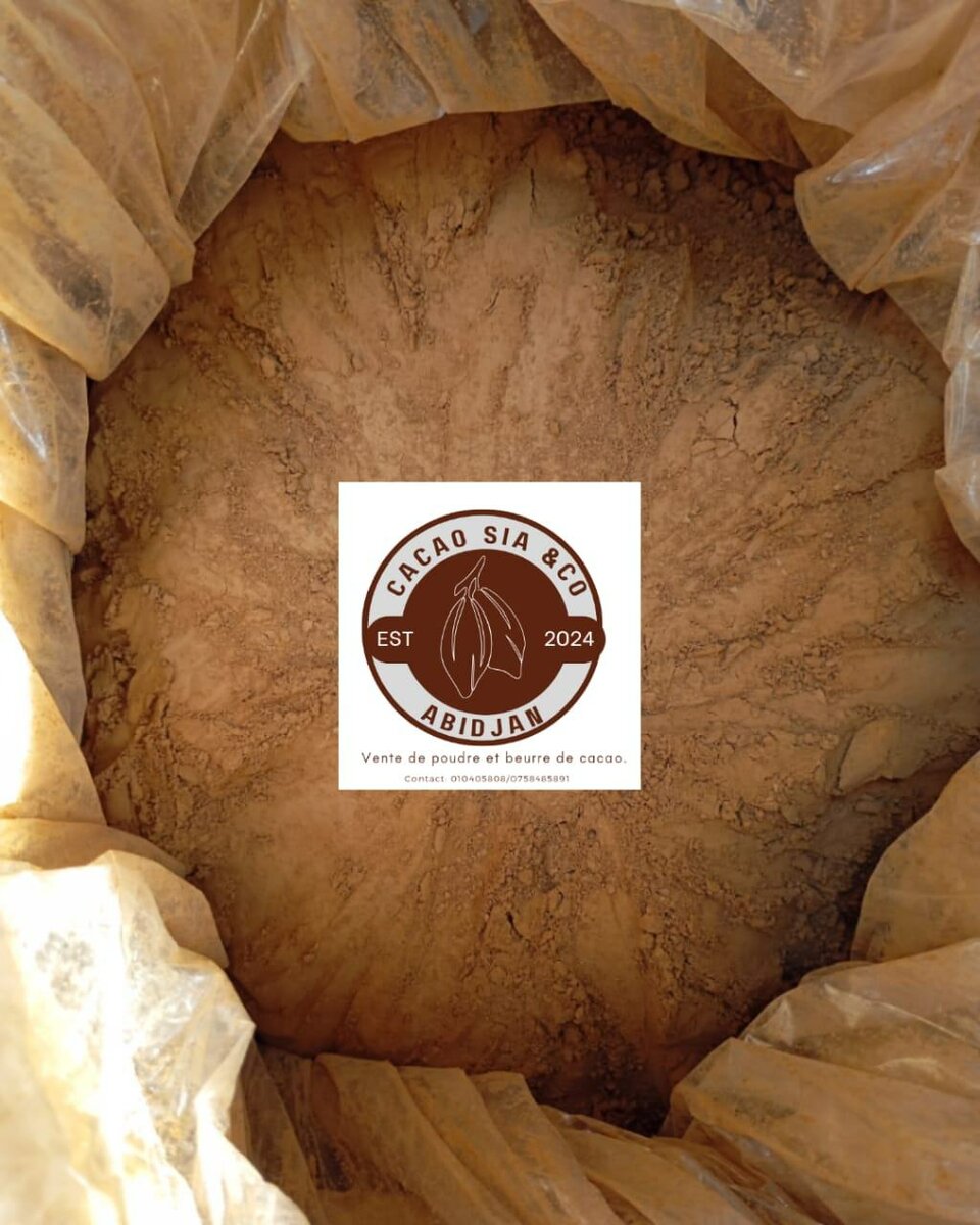 Cacao en poudre bio