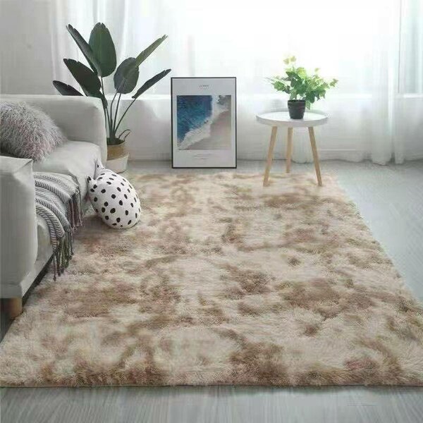 Tapis de salon