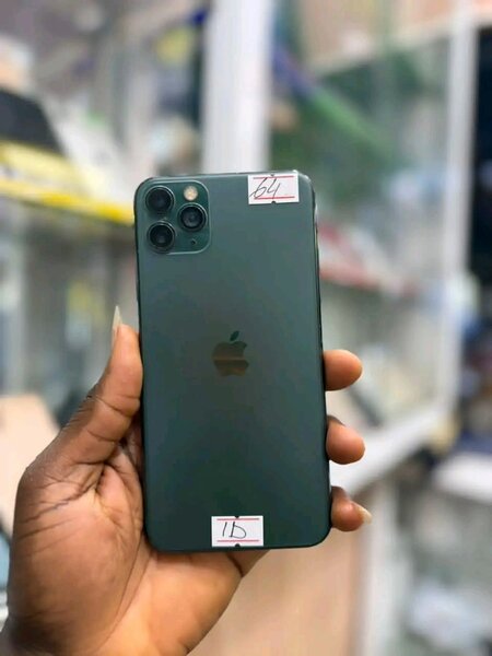 iPhone Pro Max 64 Go