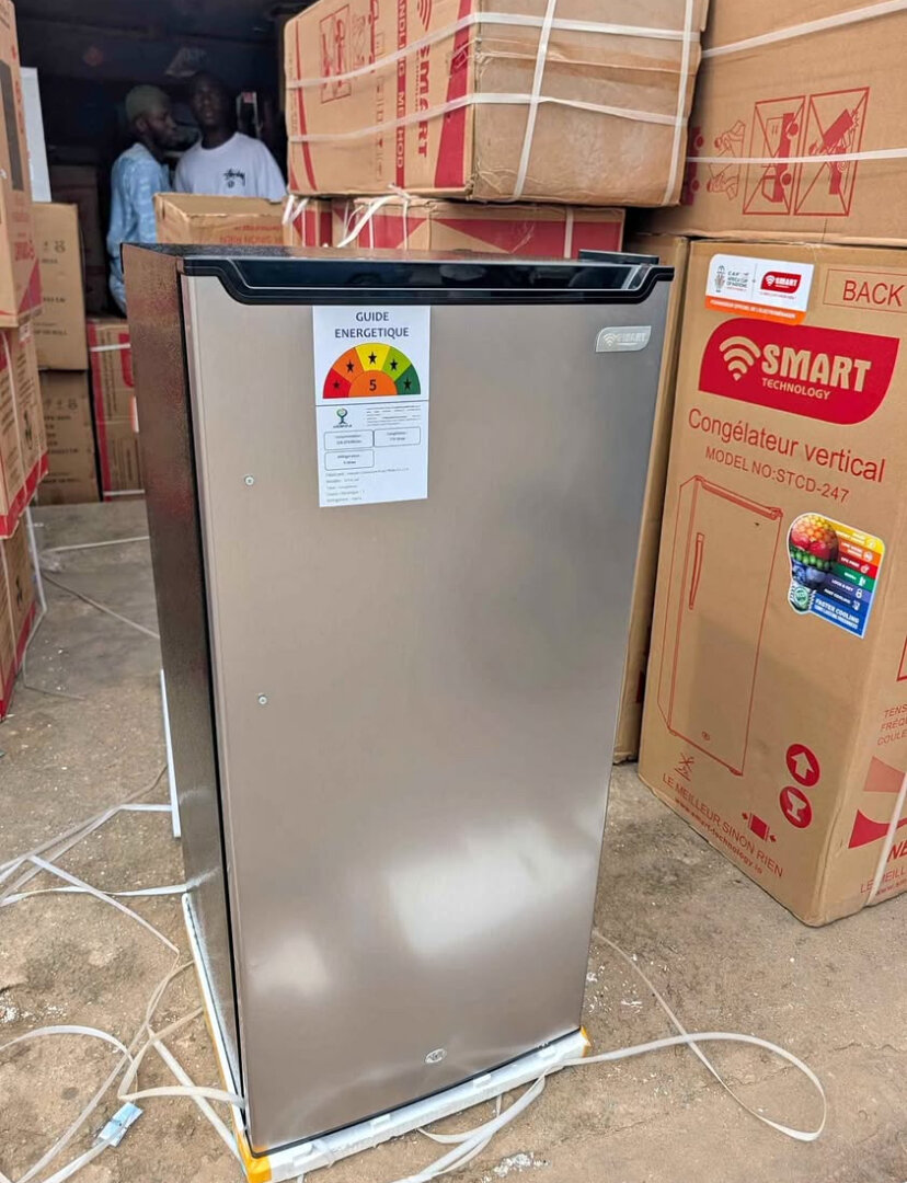 Mini Réfrigérateur Compact SMART