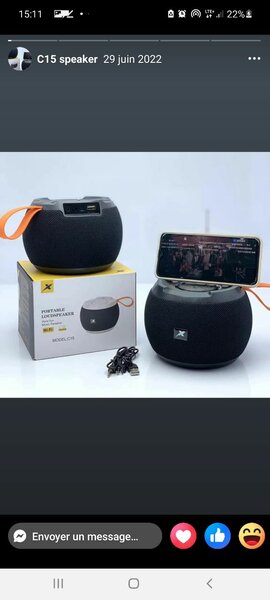 Enceinte Bluetooth Portable C15