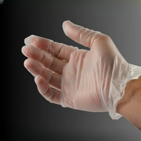 Gants jetables transparents