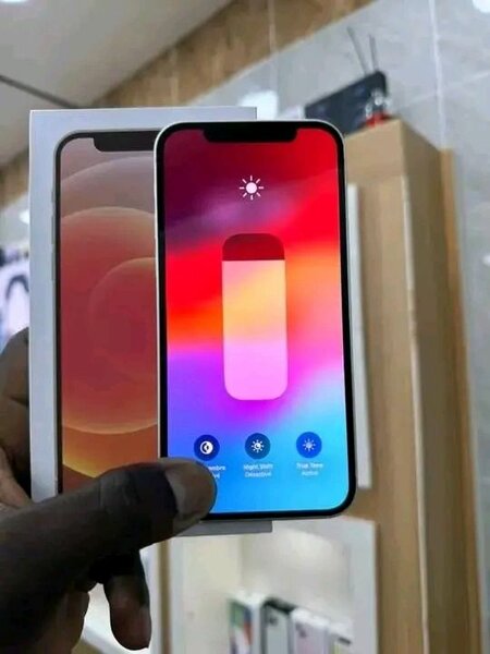 iPhone 12 Neuf Blanc 64Go