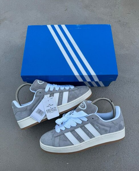 Basket  Adidas campus