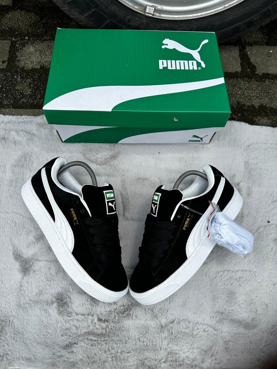 Puma gros lacet