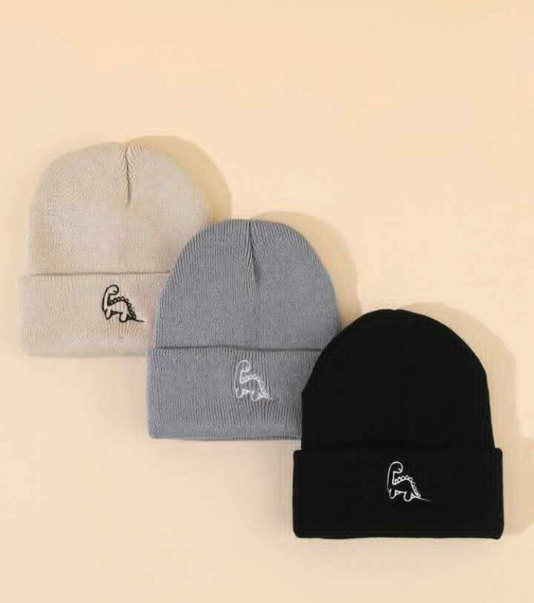 Chapeaux Beanie Unisexes