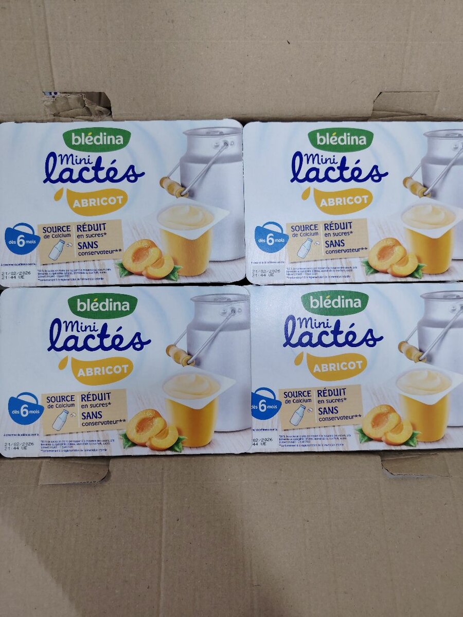 Blédina Mini Lactés Assortis