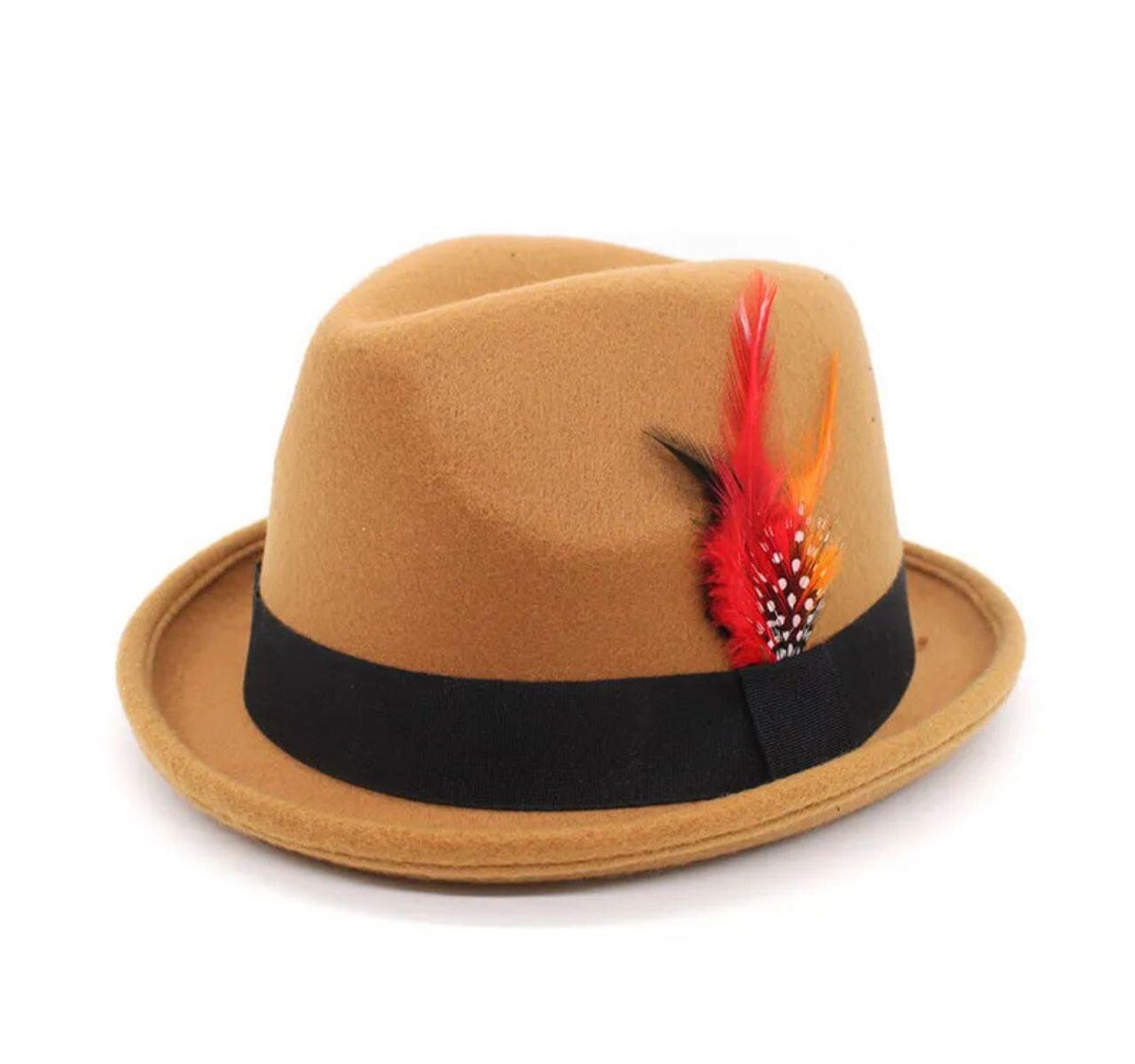 Chapeau Fedora avec plume
