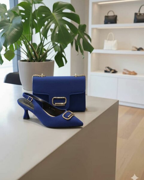 Ensemble sac et chaussures bleus