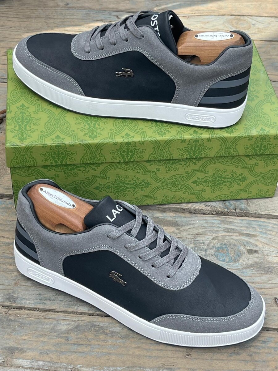 LACOSTE GRAY