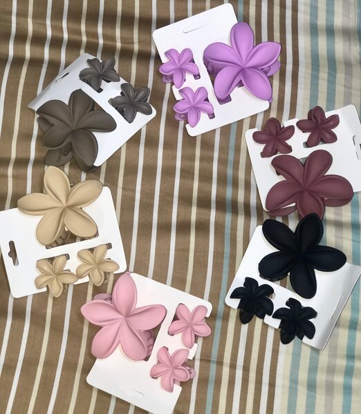 Pinces à cheveux fleurs colorées