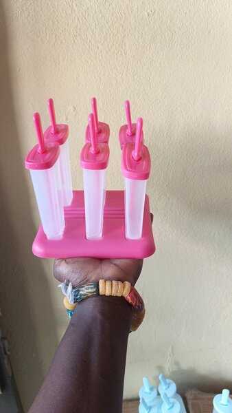 Moules à Glace Maison Rose