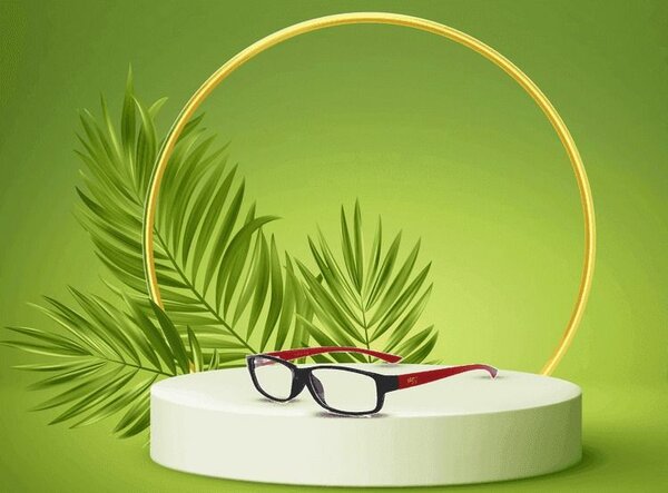 Lunettes élégantes pour tous