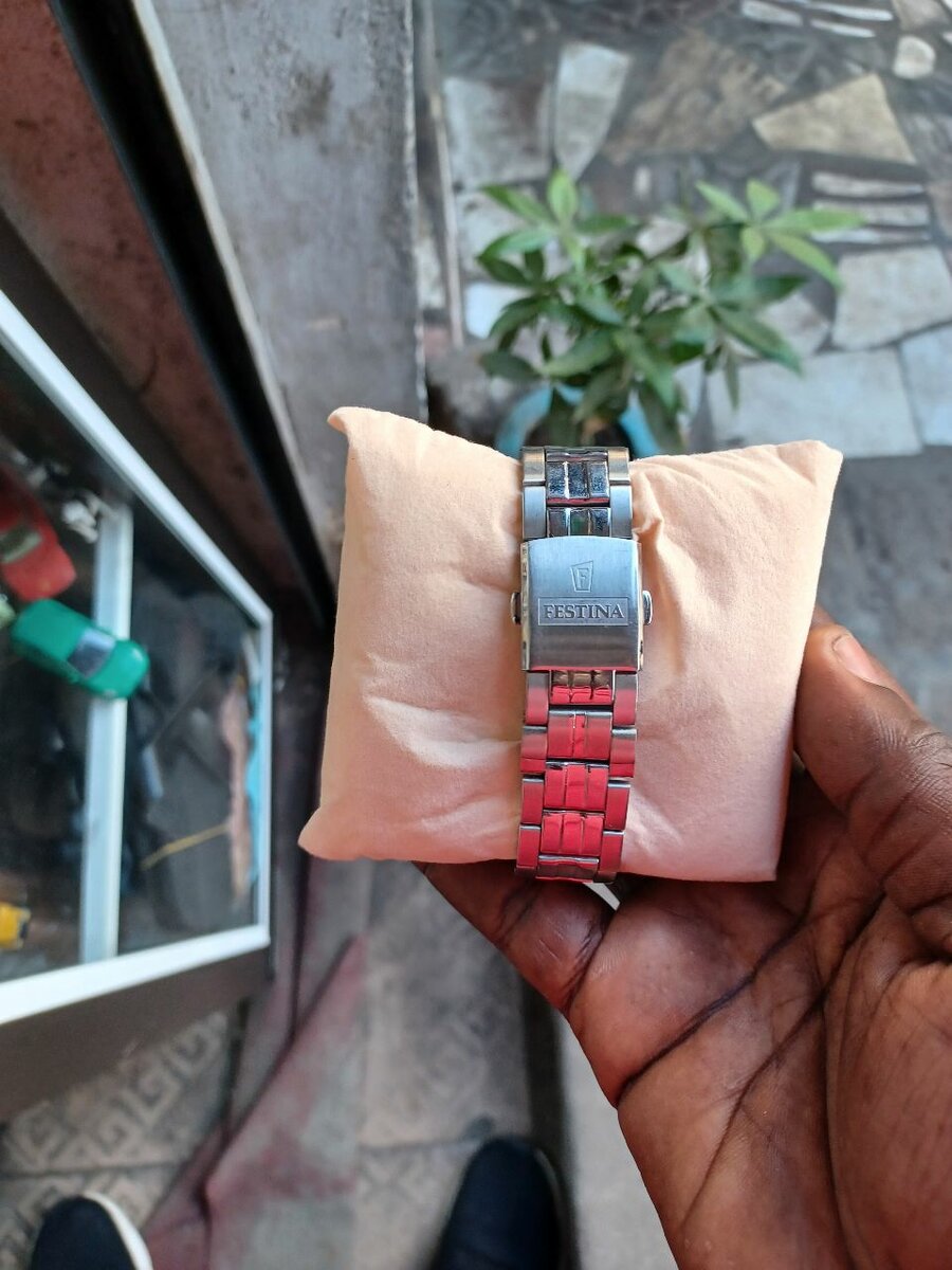 Montre Festina Homme Élégante