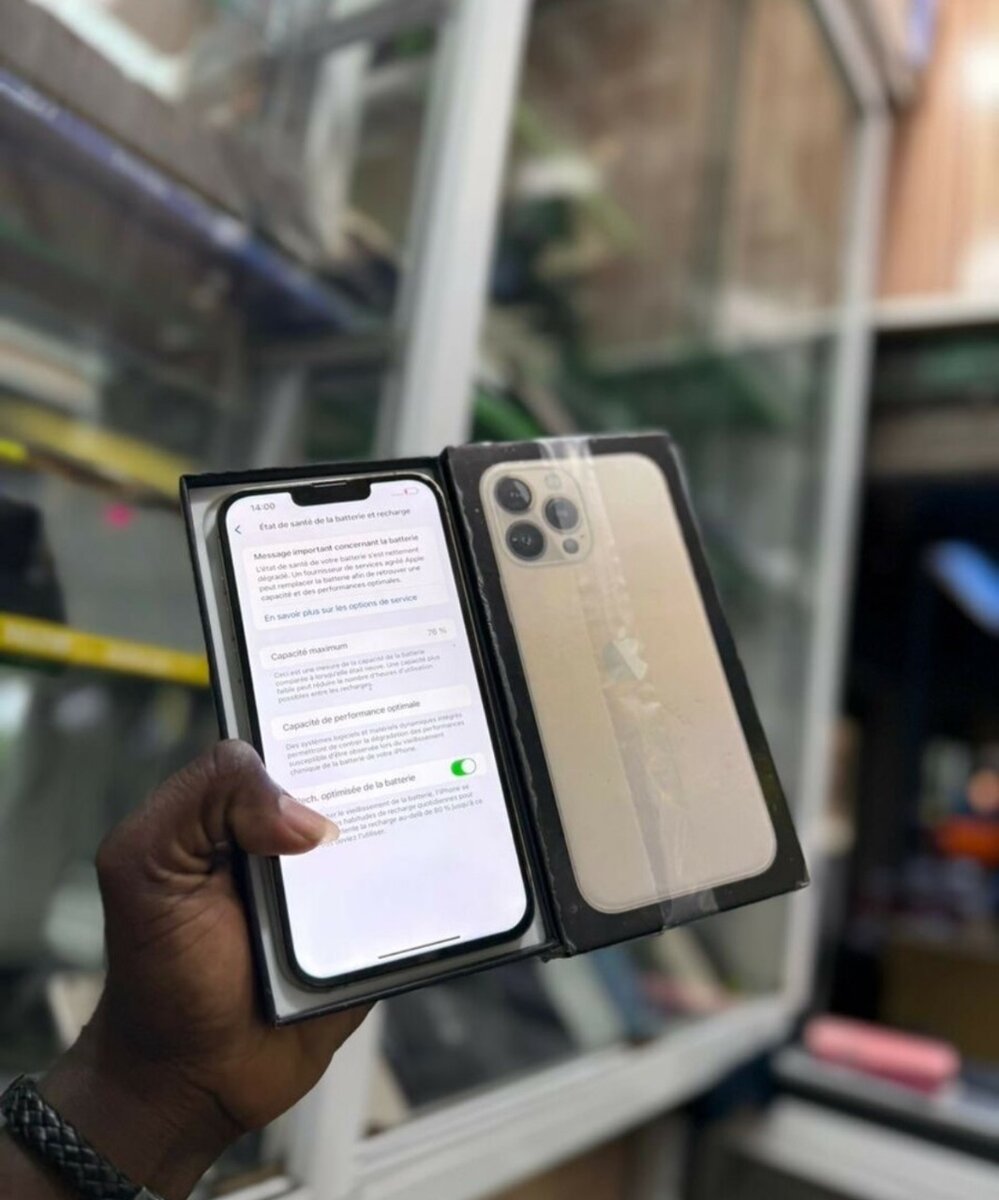 Smartphone Pro Max 256GB Débloqué