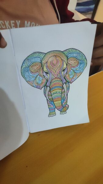 Cahier de coloriage adulte
