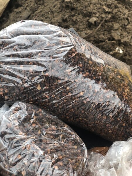 Clous de girofle entiers aromatiques