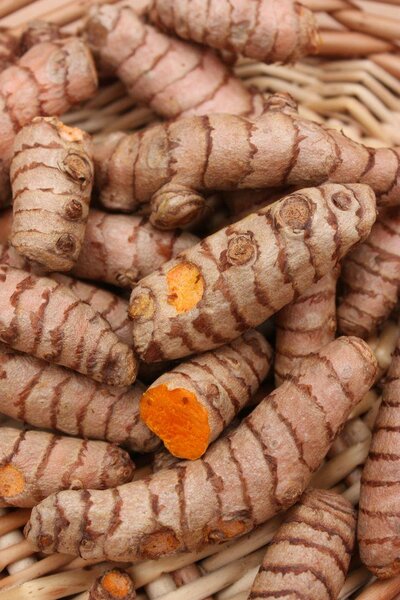 Curcuma frais bio 1kg