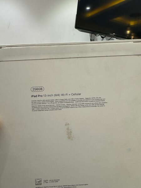 2024 iPad Pro M4 13 inch