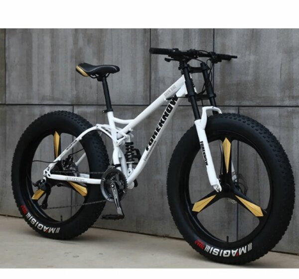 Vélo Fat Bike Tout Terrain