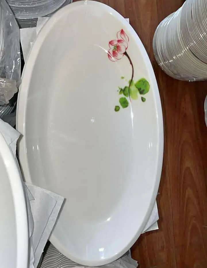 Assiettes décoratives en porcelaine