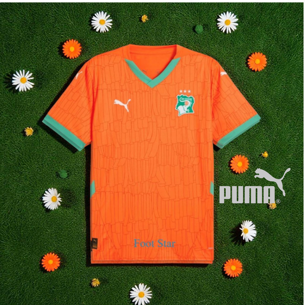 Maillot de Foot pays africain